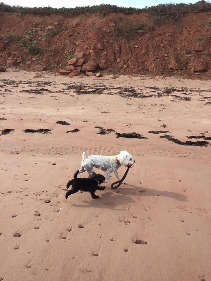 First Time at the Ocean