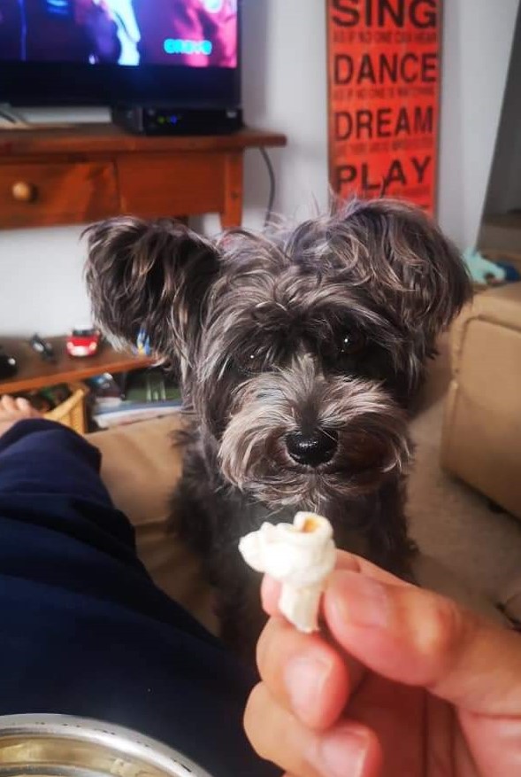 Popcorn