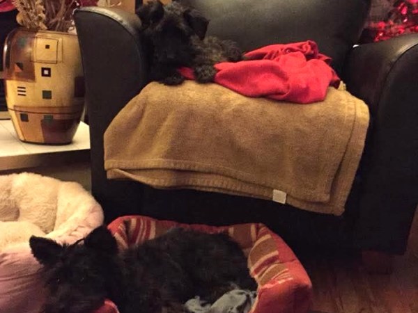 Meeting Stella Artois